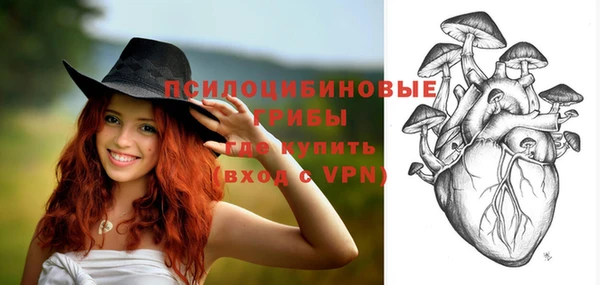 альфа пвп Вяземский